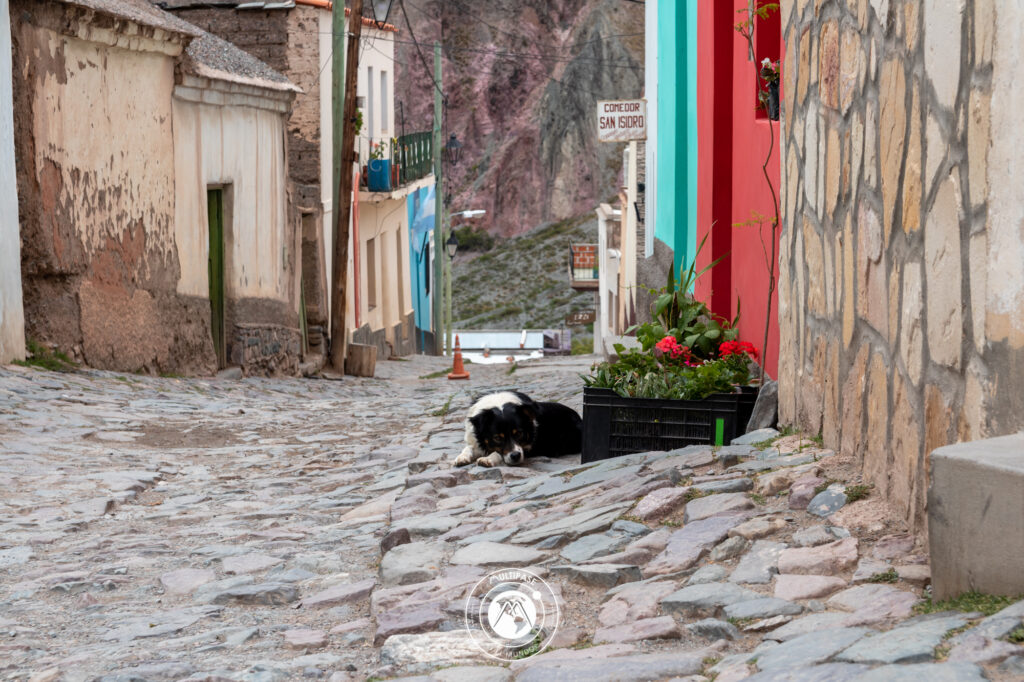 Crónicas y relatos del camino