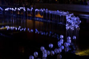 Nunca más . 50 años Rosario